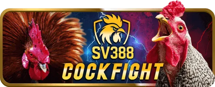 Cá cược thể thao ok83866